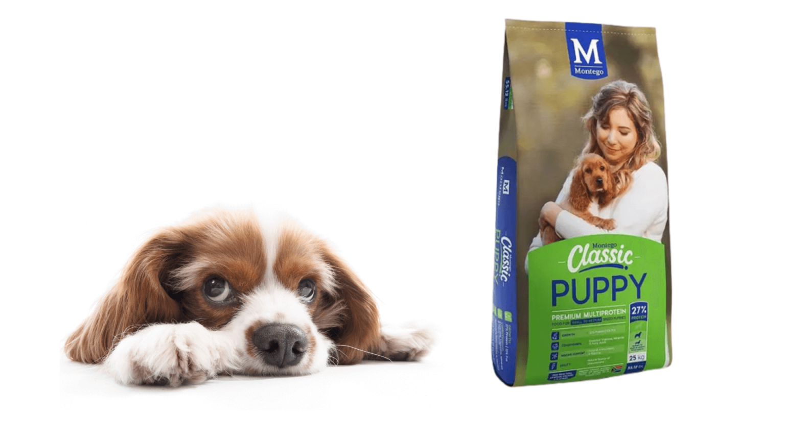 Online Shop Johannesburg SPCA