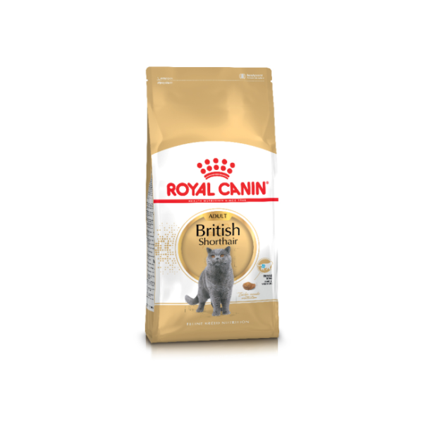 royal canin british shorthair adult cat food