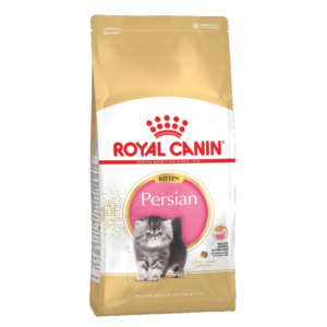 persian kitten dry food by royal canin